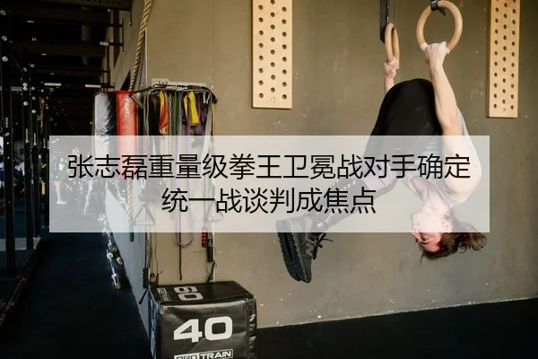 张志磊重量级拳王卫冕战对手确定 统一战谈判成焦点